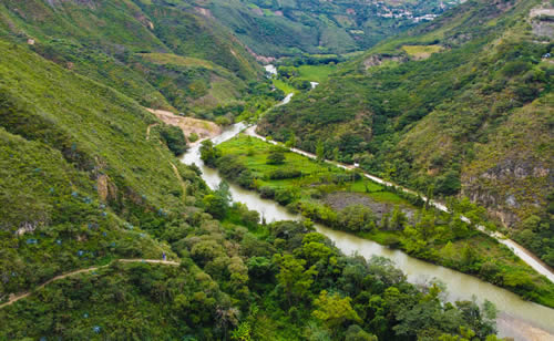 Galería de Fotos 11
